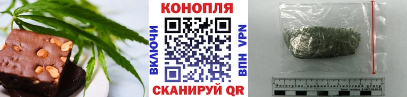 площадка формула  Славгород  Canna-Cookies конопля 