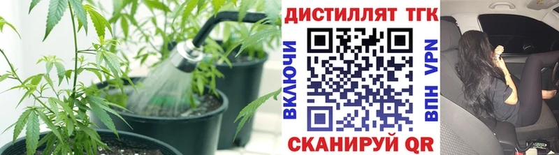 где найти наркотики  это официальный сайт  Дистиллят ТГК вейп  Славгород 