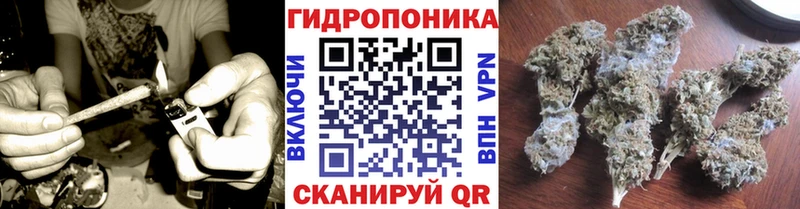 где продают наркотики  Славгород  МАРИХУАНА тримм 